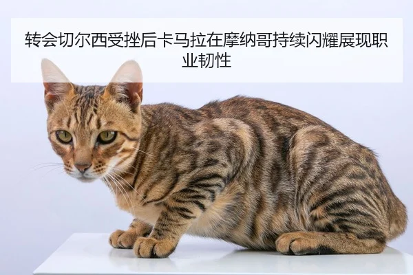 转会切尔西受挫后卡马拉在摩纳哥持续闪耀展现职业韧性
